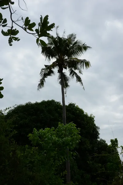 DSC_9352 (Large).JPG